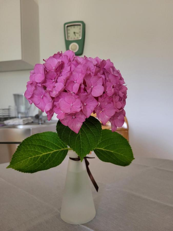 Ferienwohnung Sonnenschein Obernkirchen Bagian luar foto